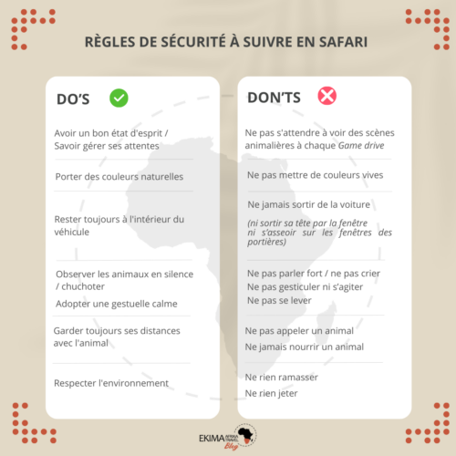 Visuel récapitulant les règles de sécurité à suivre en safari