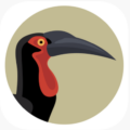 Bird Pro Southern Africa logo – guide ornitho Afrique