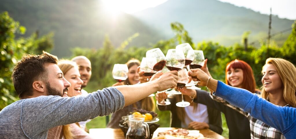 Une bande d'amis trinquent avec en toile de fond les vignobles