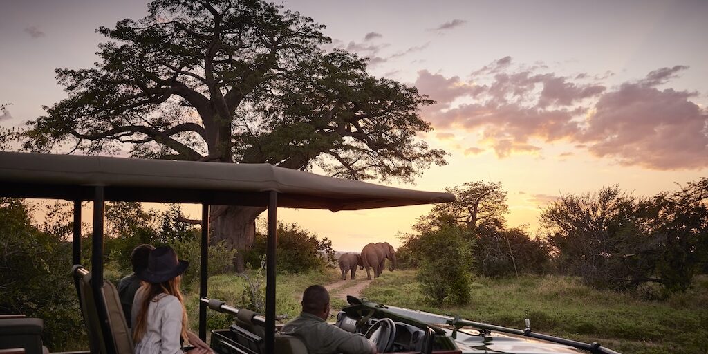 safari exclusif au Botswana en 4x4 avec observation des éléphants